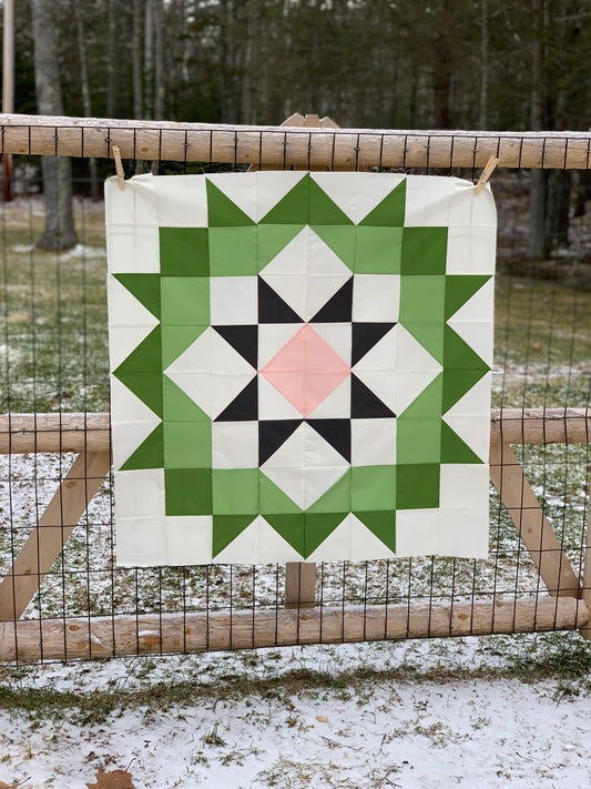 Moda Love Quilt - Bella Solids